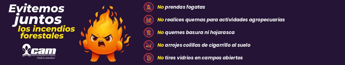 PUBLICIDAD CAM